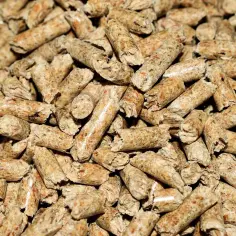 Jaki pellet polecacie? Ranking najlepszych pelletów do ogrzewania domu