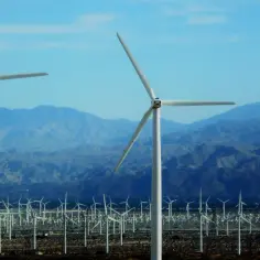Wiatrak ile prądu? Sprawdź, ile możesz zaoszczędzić na energii