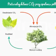 Czy pellet to biomasa? Wyjaśniamy, dlaczego to ekologiczne paliwo zyskuje popularność